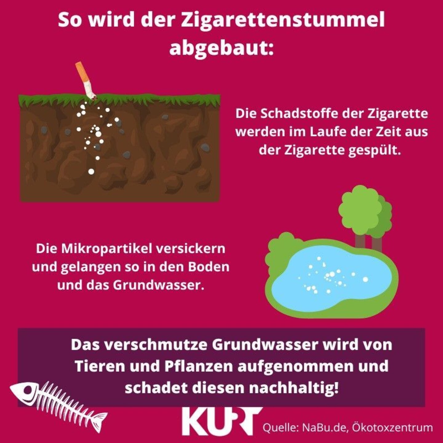 Grafik, die zeigt, wie ein Zigarettenstummel in der Natur abgebaut wird.