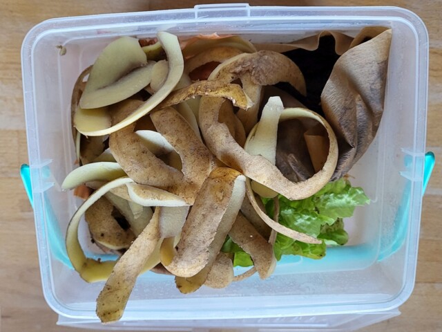 Kartoffelschalen, ein Kaffeefilter, Salatblatt in einem transparenten Plastikeimer
