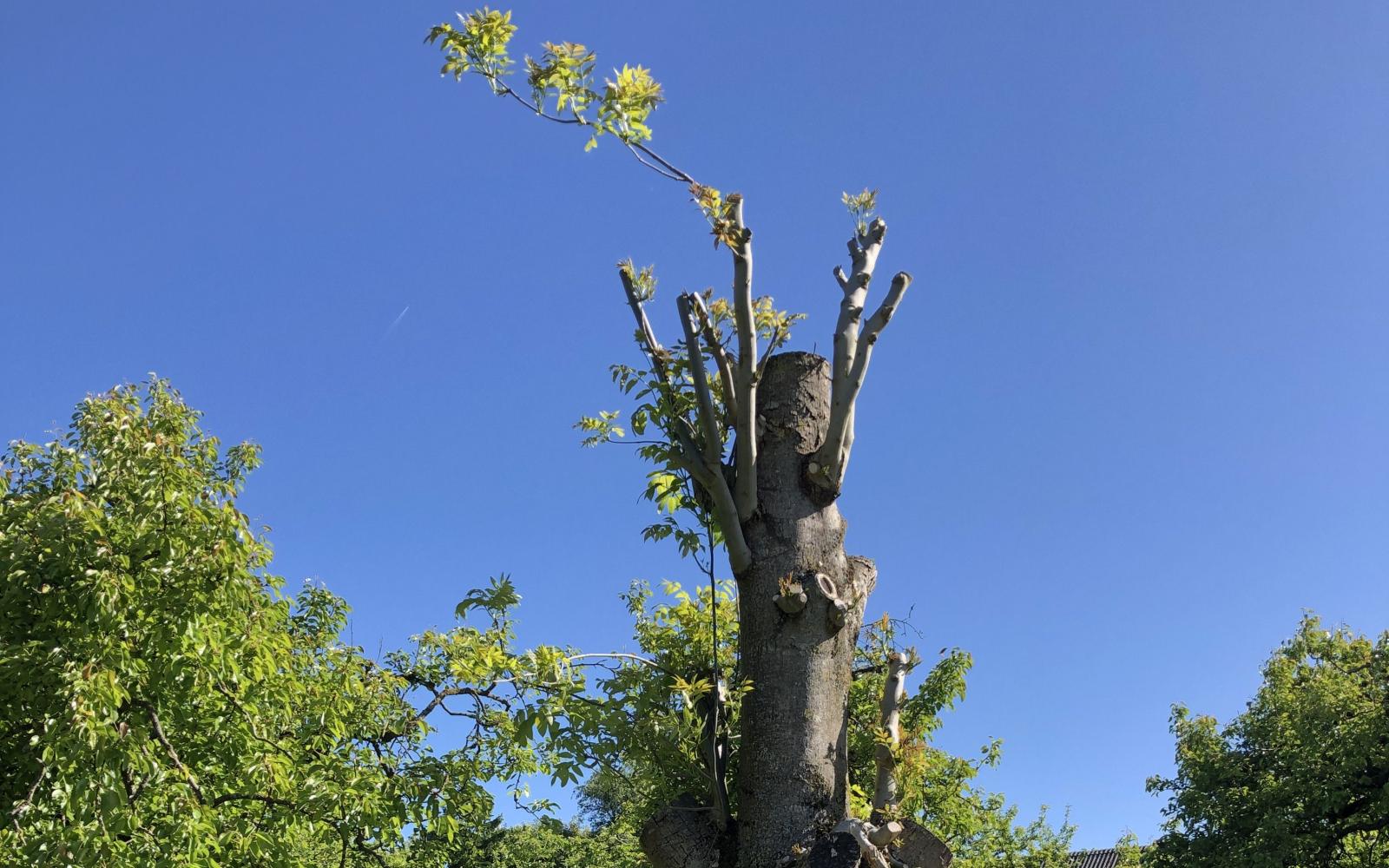Titelbild (symbolisch)